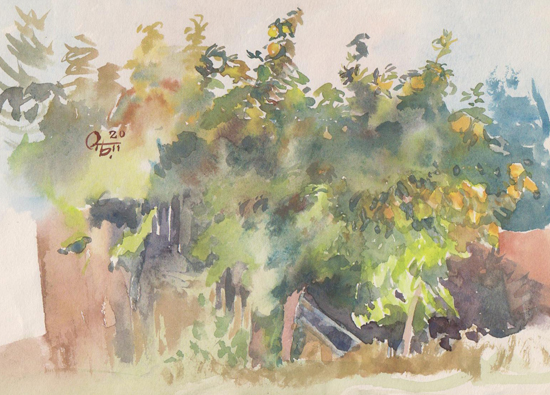 portfolio_gal/Aquarelle/apple tree.jpg